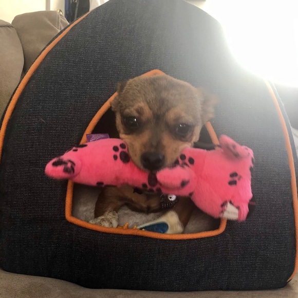 DJ - Picture 6 of 16